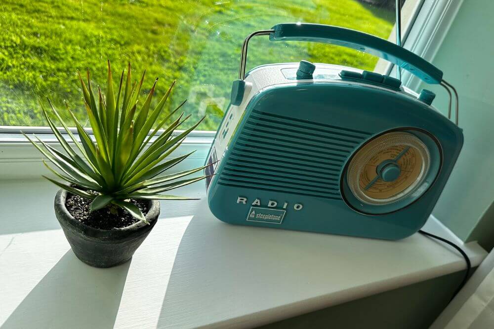 blue radio and palm plant on a windowsill.